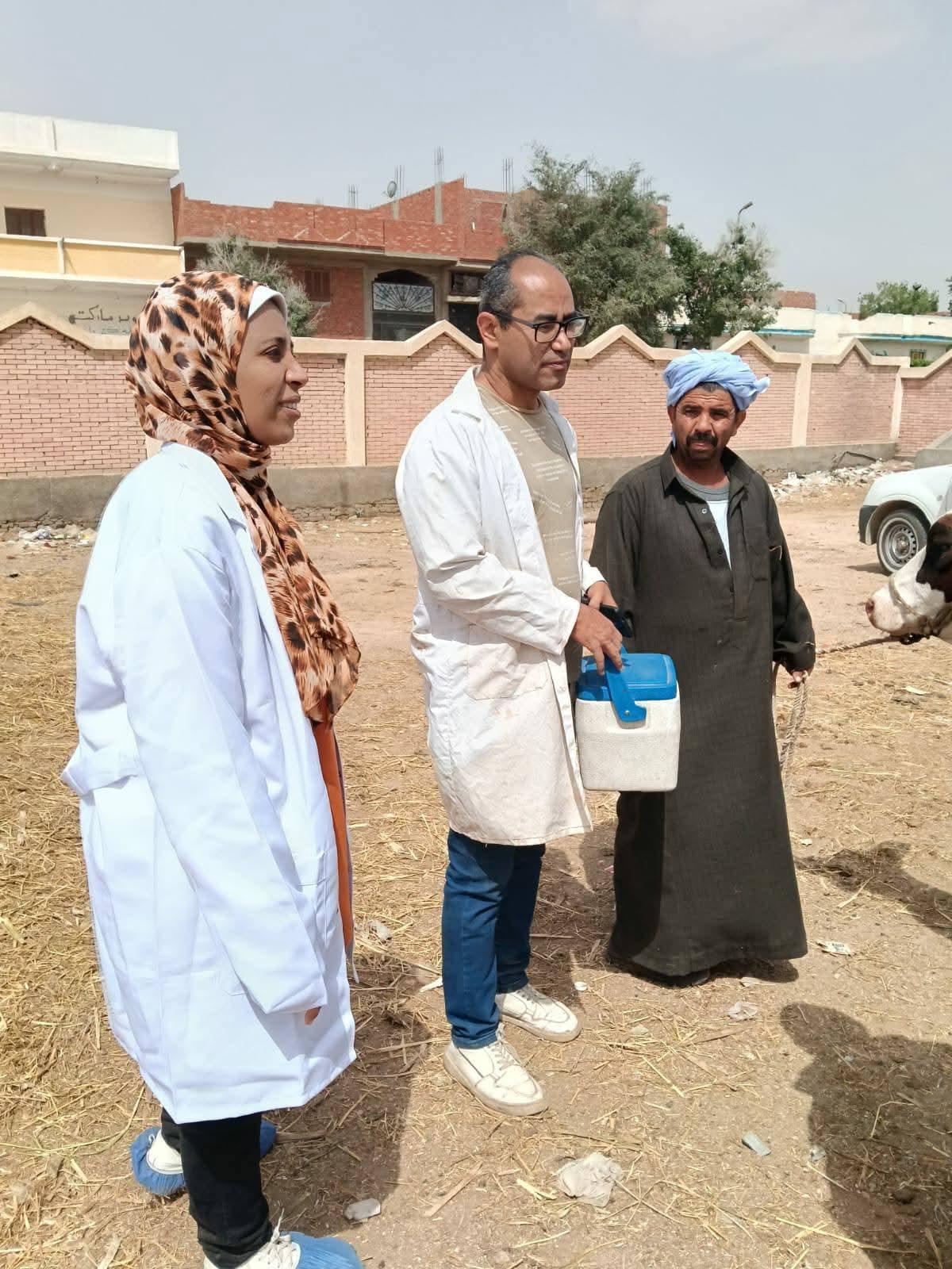 فرق بيطرية تكثف أعمال المتابعة لأسواق الماشية بمحافظة السويس