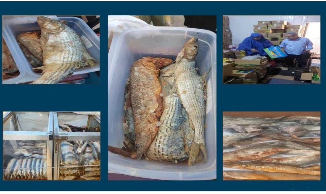 تموين قنا يشن حملات مكثفة خلال "شم النسيم" ويعلن ضخ سلع إضافية بالمجمعات