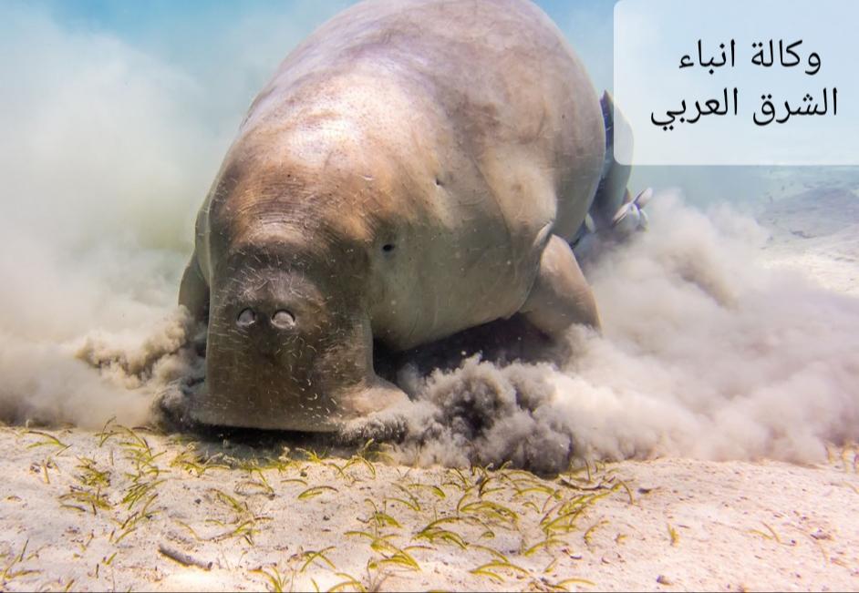 ٢٠٢٦٠٢١٧_٠٣٤٤٥٩