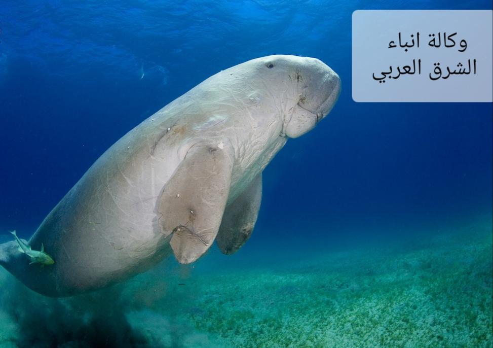 ٢٠٢٦٠٢١٧_٠٣٤٨٠٠