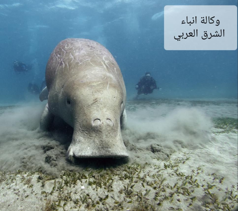 ٢٠٢٦٠٢١٧_٠٣٤٨٣٨