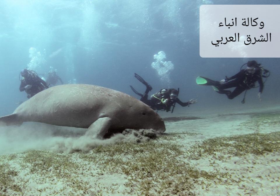 ٢٠٢٦٠٢١٧_٠٣٤٩٢٨