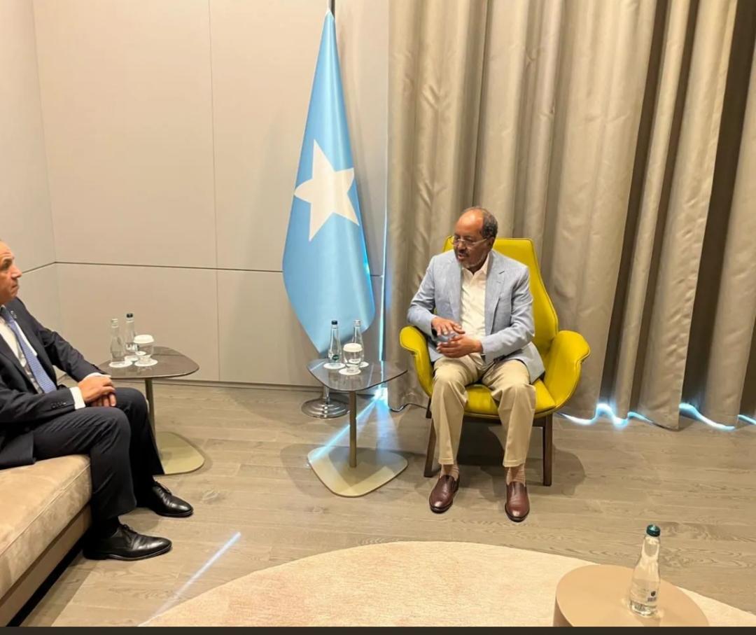 وزير الخارجية يلتقي الرئيس الصومالي ويؤكد مواصلة دعم مصر للصومال وتعزيز الشراكة الاستراتيجية بين البلدين