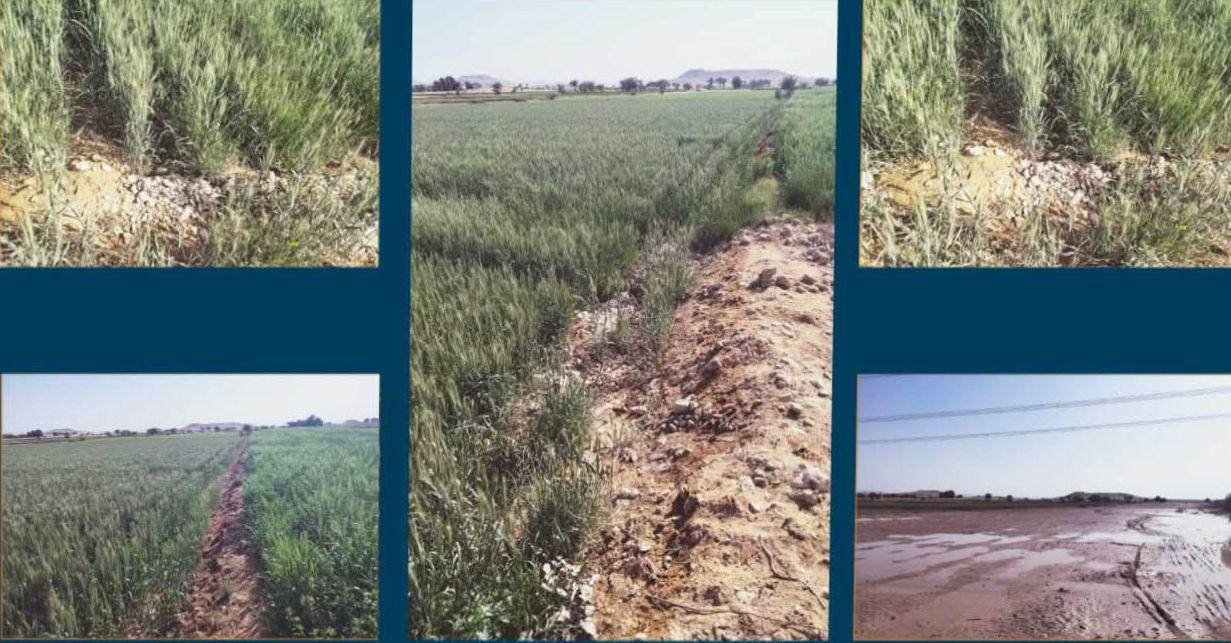 استجابة لشكاوى الأهالي.. محافظ قنا يوجه بإنهاء أزمة تسرب مياه الصرف بأراضي "الحاج سلام" بفرشوط