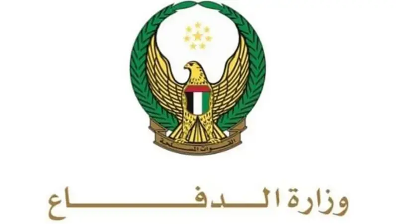 الإمارات: استكملنا سحب جميع قواتنا من اليمن