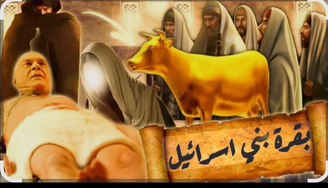 قصة بقرة بنى اسرئيل