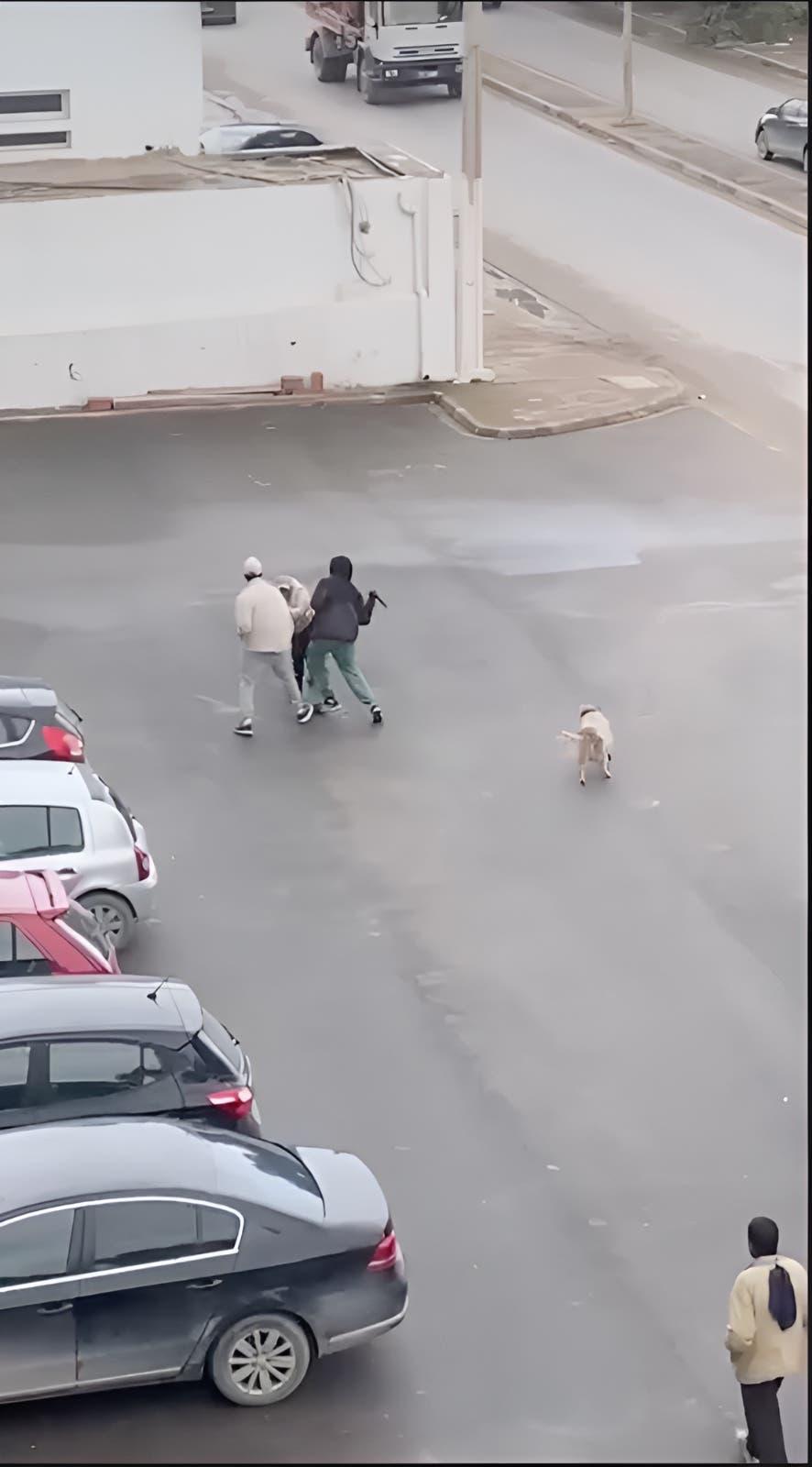 b164d239-45b6-4f88-9862-501e30b7dba4