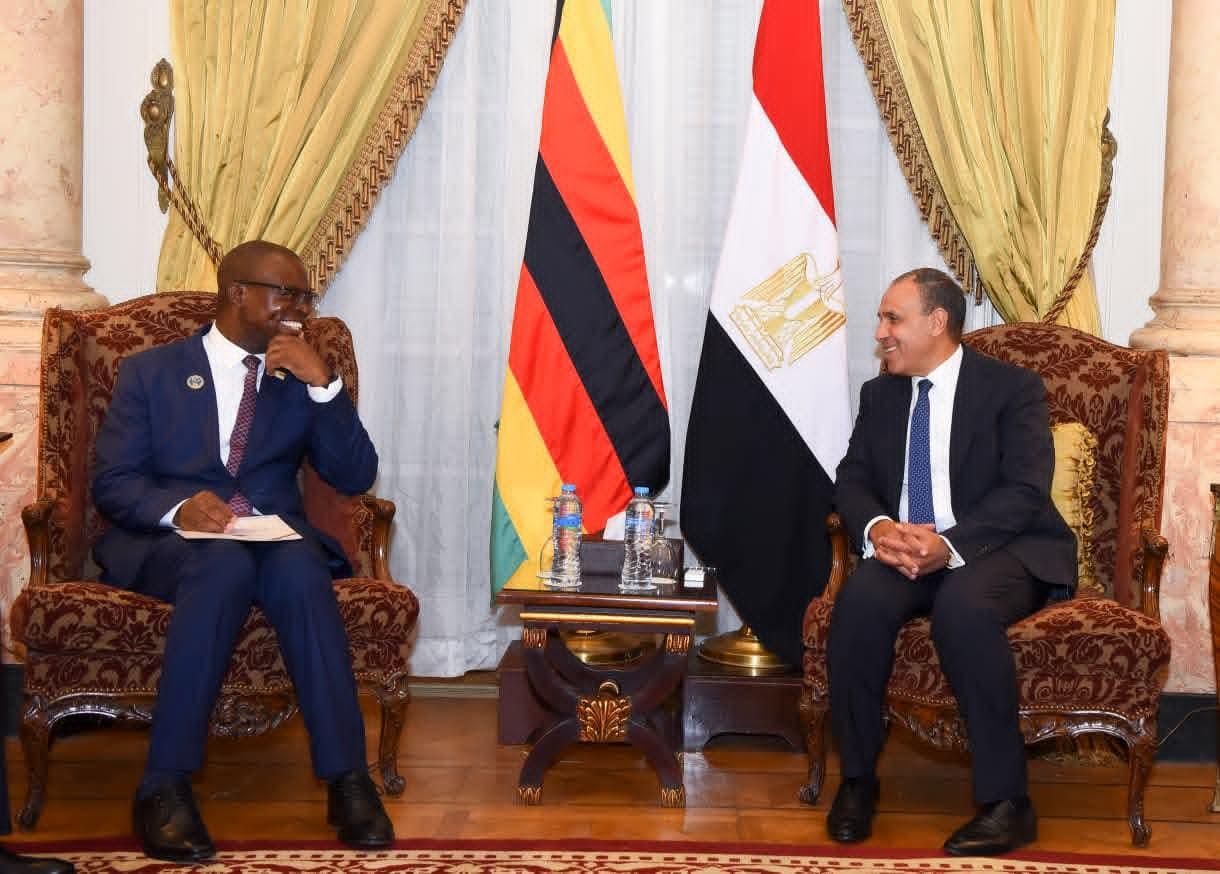 وزير الخارجية يلتقي وزير خارجية زيمبابوي لتعزيز التعاون الثنائي