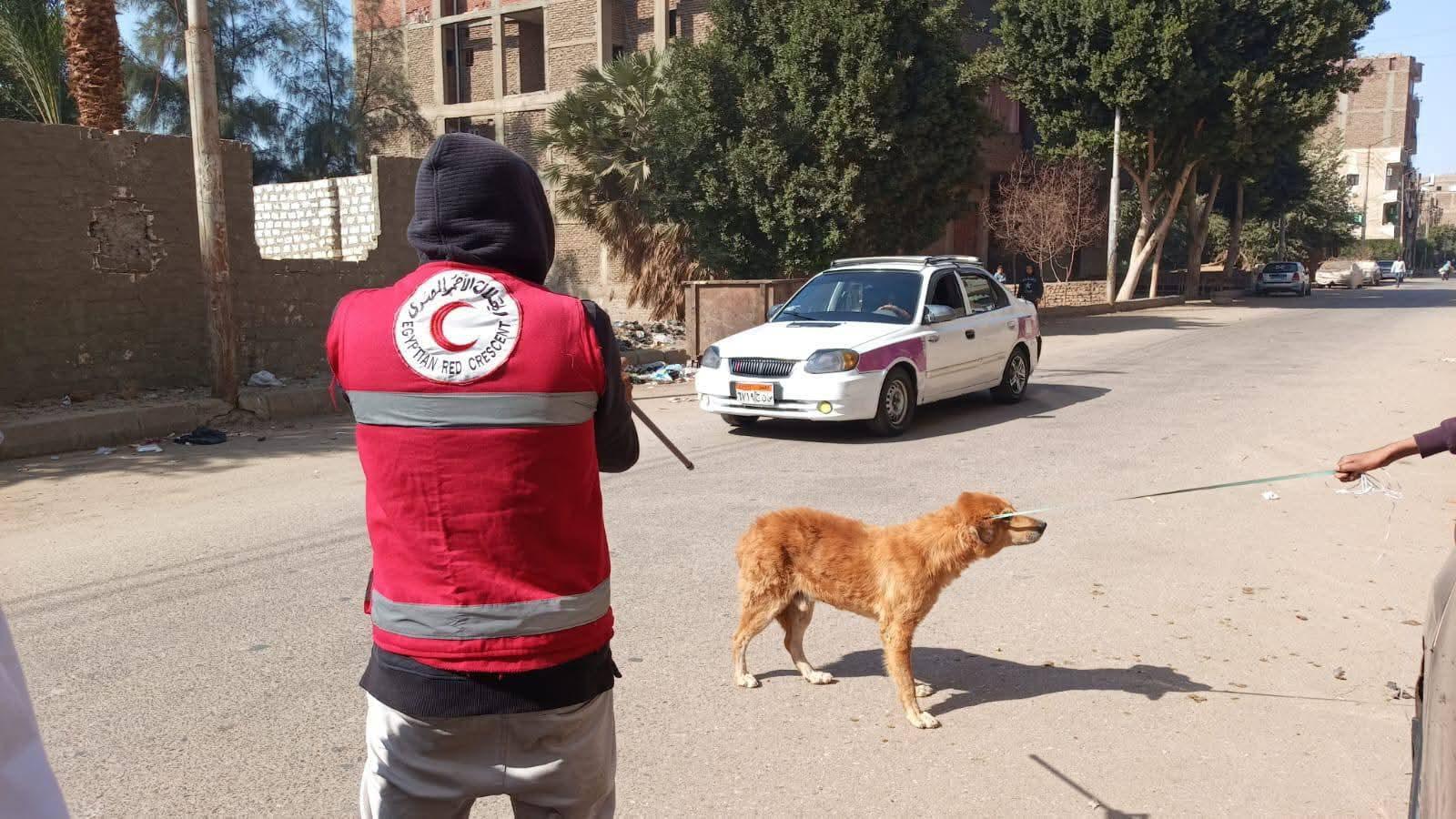 FB_IMG_1769160100419