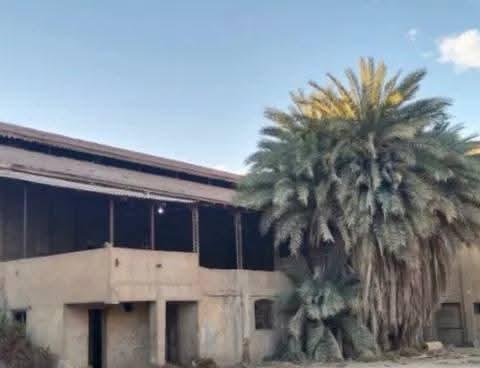 FB_IMG_1772821828796