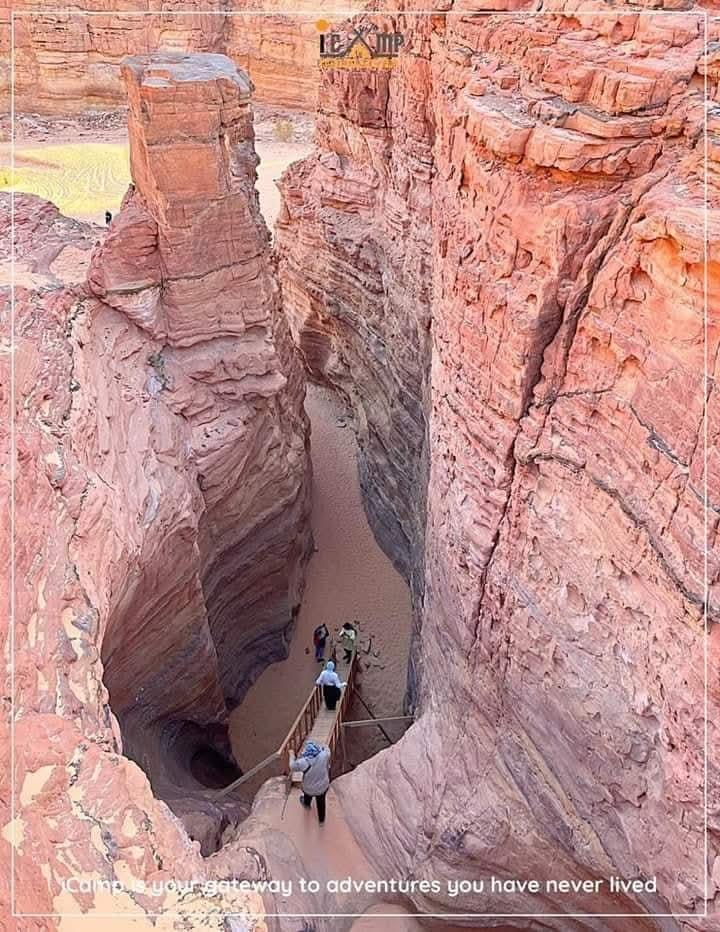 سيناء الحياذ