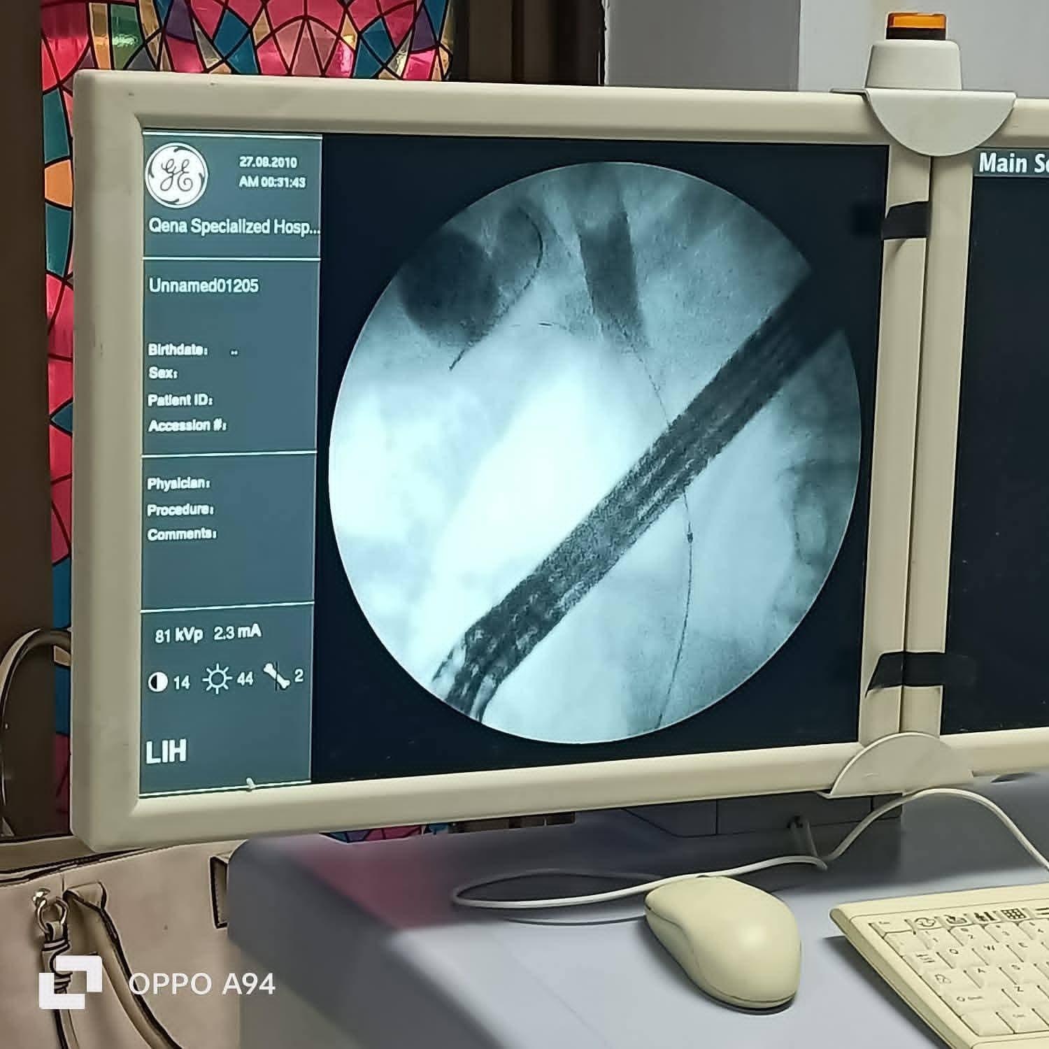 FB_IMG_1774955456520