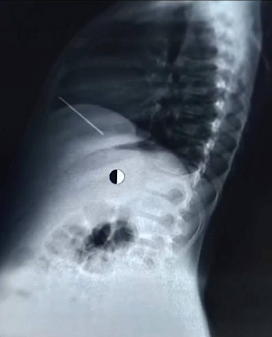 FB_IMG_1775308758783