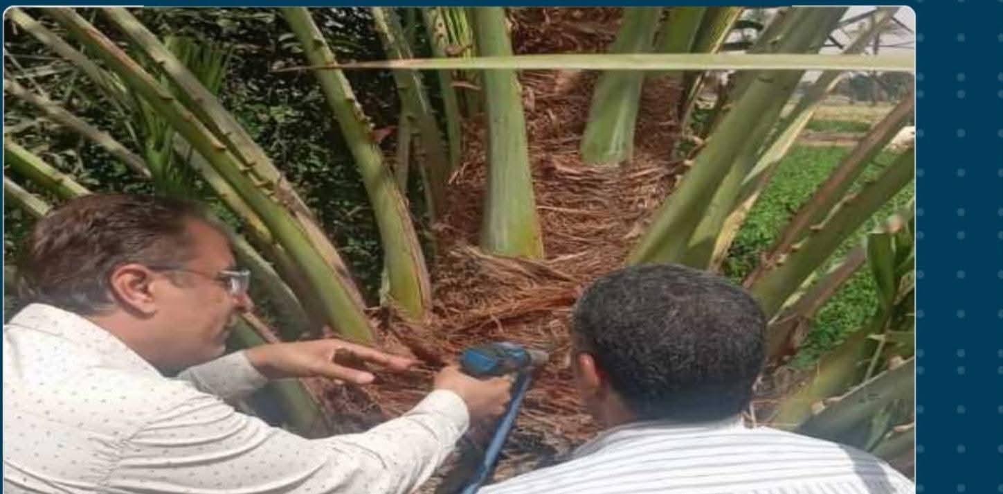 FB_IMG_1775484355302