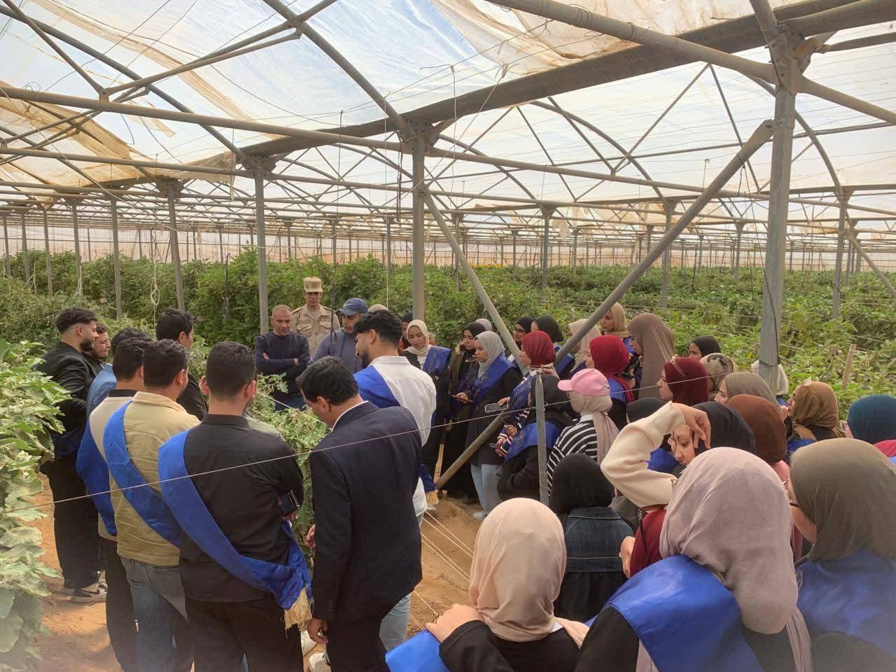 زيارة ميدانية لطلاب جامعة الإسكندرية إلى الشركة الوطنية للزراعات المحمية بقطاع محمد نجيب
