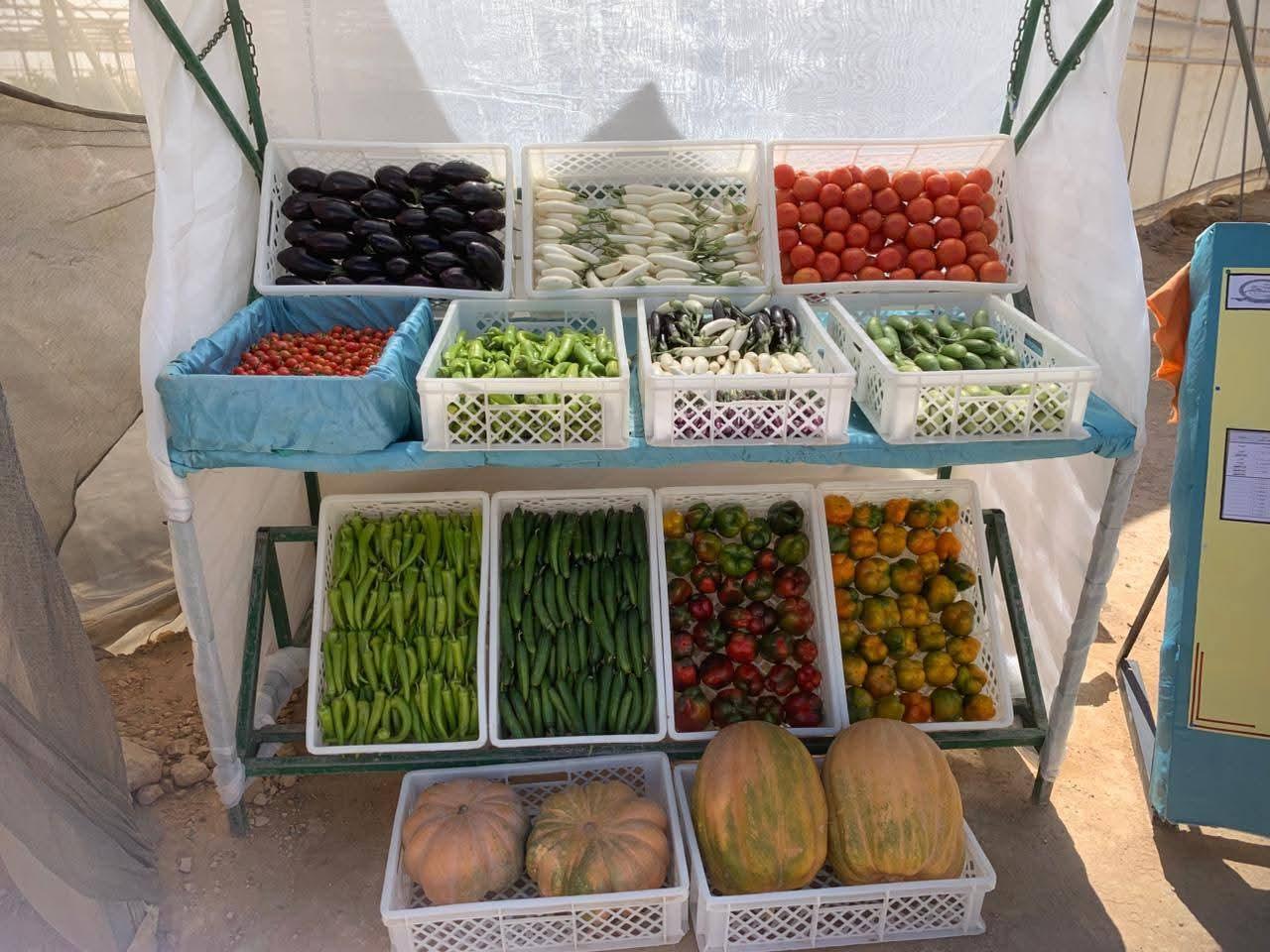 FB_IMG_1775688066981