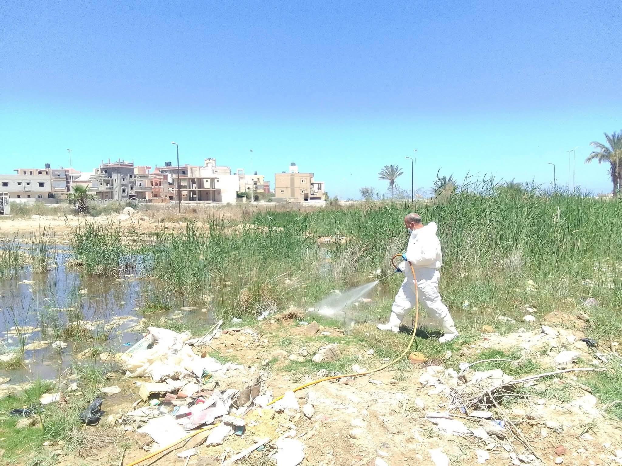 حملة مكثفة لمكافحة البعوض بالعريش.. تغطية بؤر المياه الراكدة بالمبيدات في المساعيد.