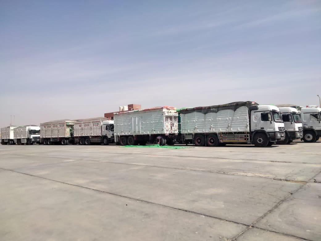 FB_IMG_1777455485232