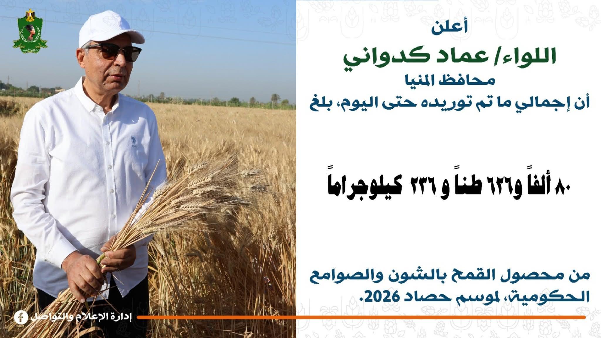 محافظ المنيا: توريد أكثر من 80 ألف طن قمح إلى الصوامع والشون منذ انطلاق موسم 2026