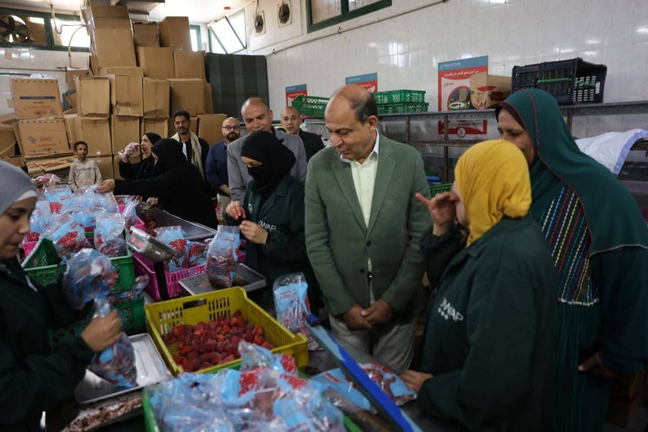 بإنتاج يومي 40 طنًا من الفراولة والعنب.. محافظ المنيا يتفقد محطة تعبئة فاكهة «البيهو» ويؤكد: صرح تنموي يعظم القيمة المضافة للمنتج المحلي